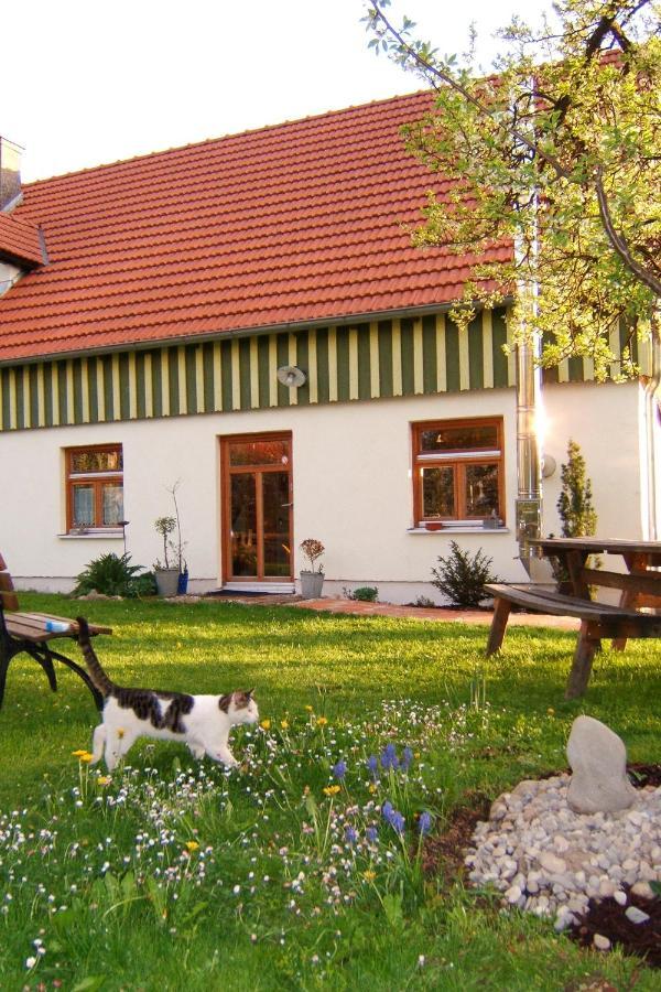 Bio Pension Kirschenfee Sontheim  Εξωτερικό φωτογραφία