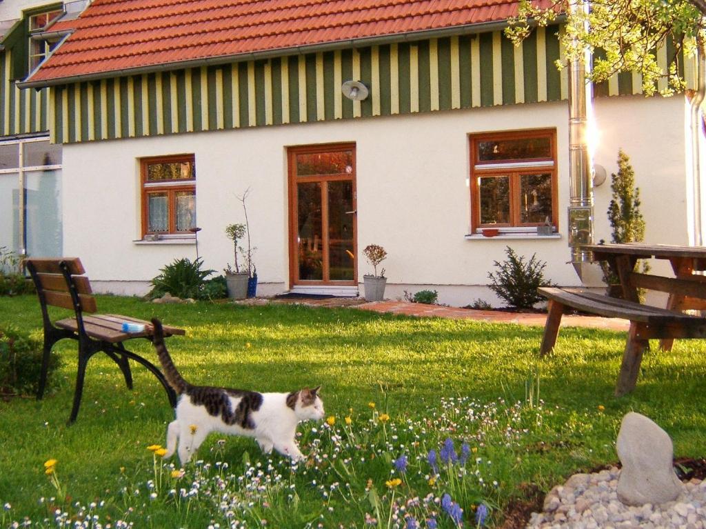 Bio Pension Kirschenfee Sontheim  Εξωτερικό φωτογραφία
